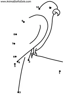 Parrot dot-to-dot