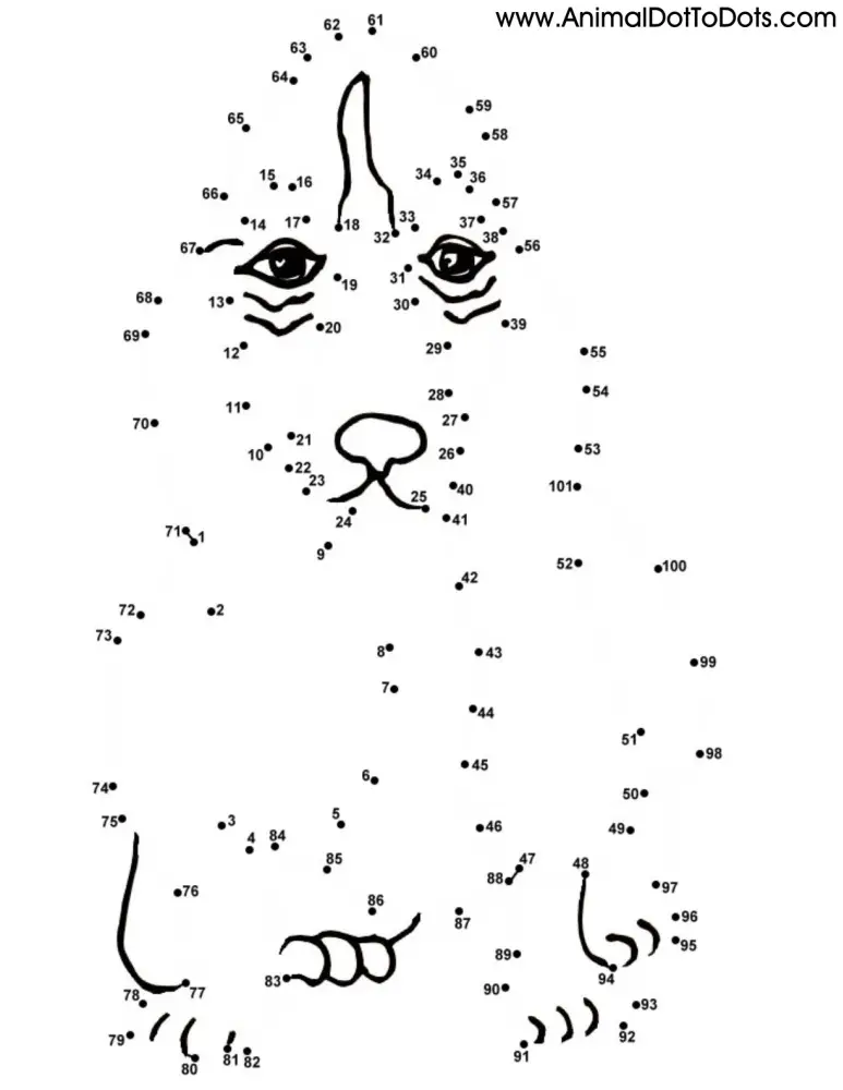 Free Printable Animal Dot-to-Dot Basset Hound Dog