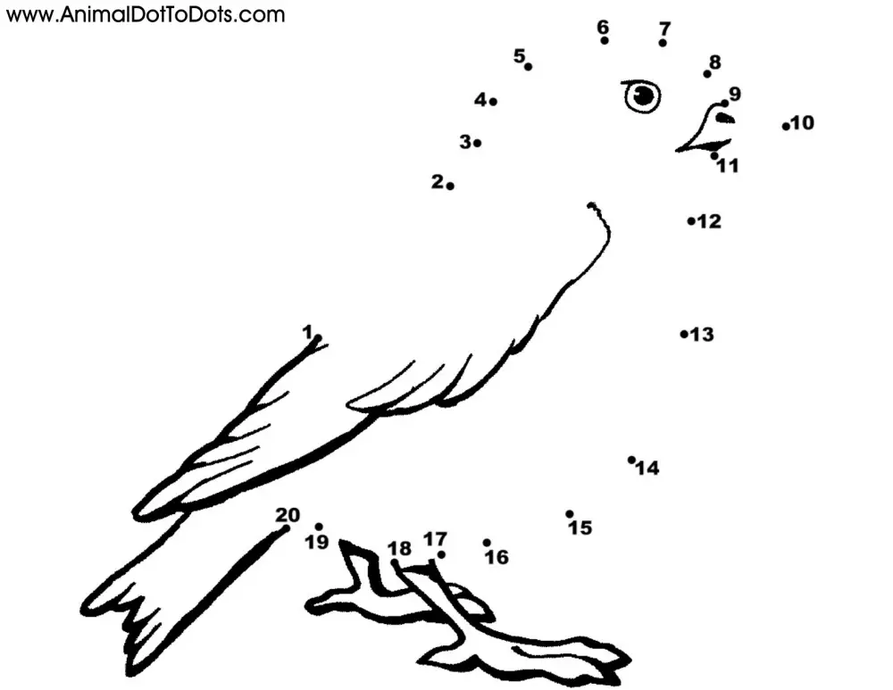Free Printable Animal Dot-to-Dot Bird