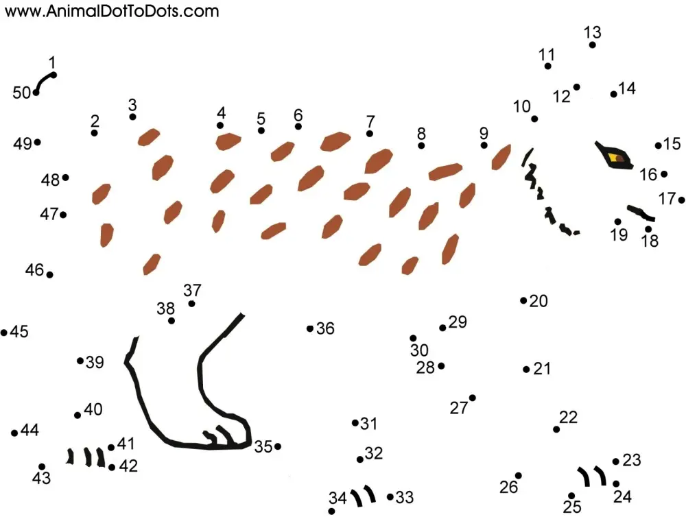 Free Printable Animal Dot-to-dot Bobcat