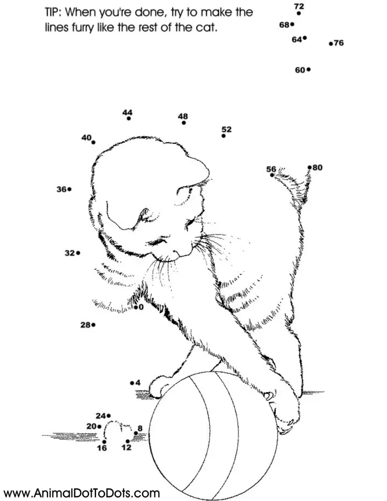 Free Printable Animal Dot-to-dot Cat