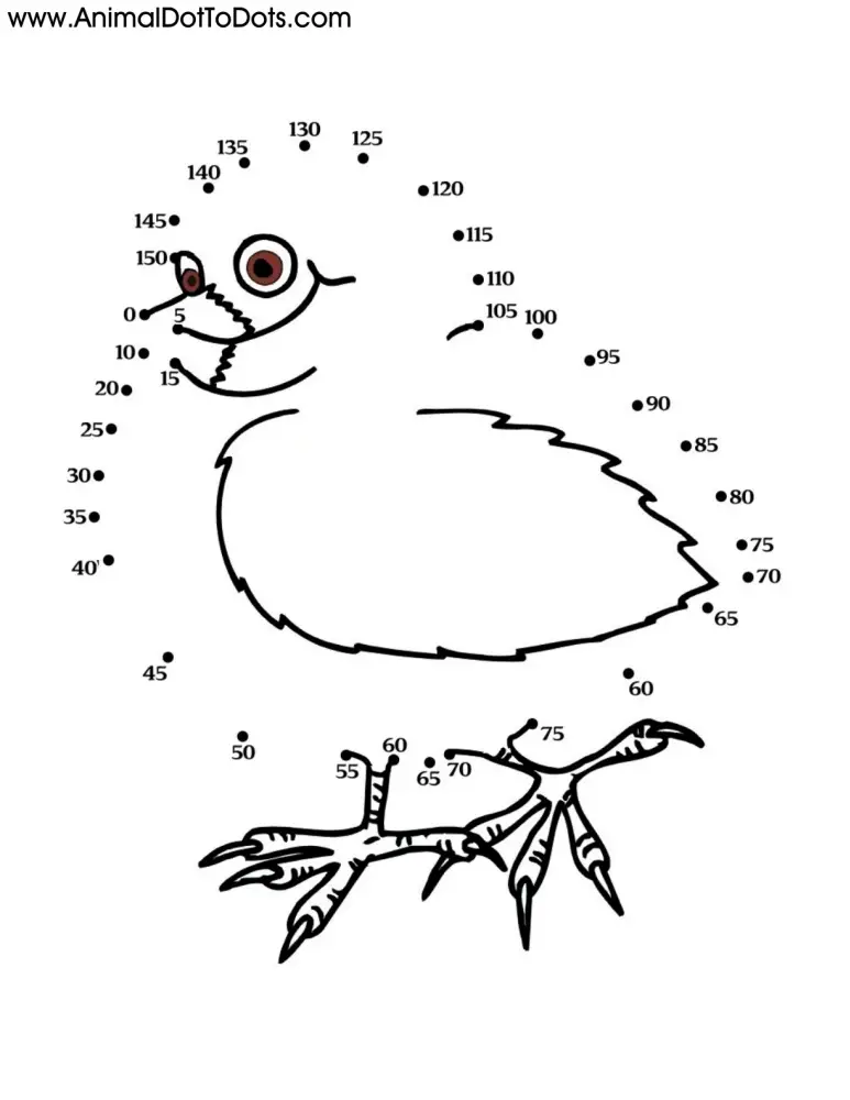 Free Printable Animal Dot-to-dot Chick