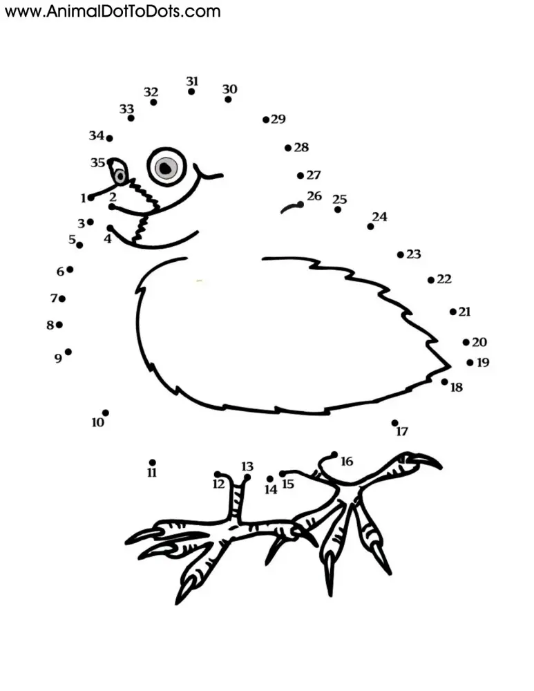 Free Printable Animal Dot-to-Dot Chick