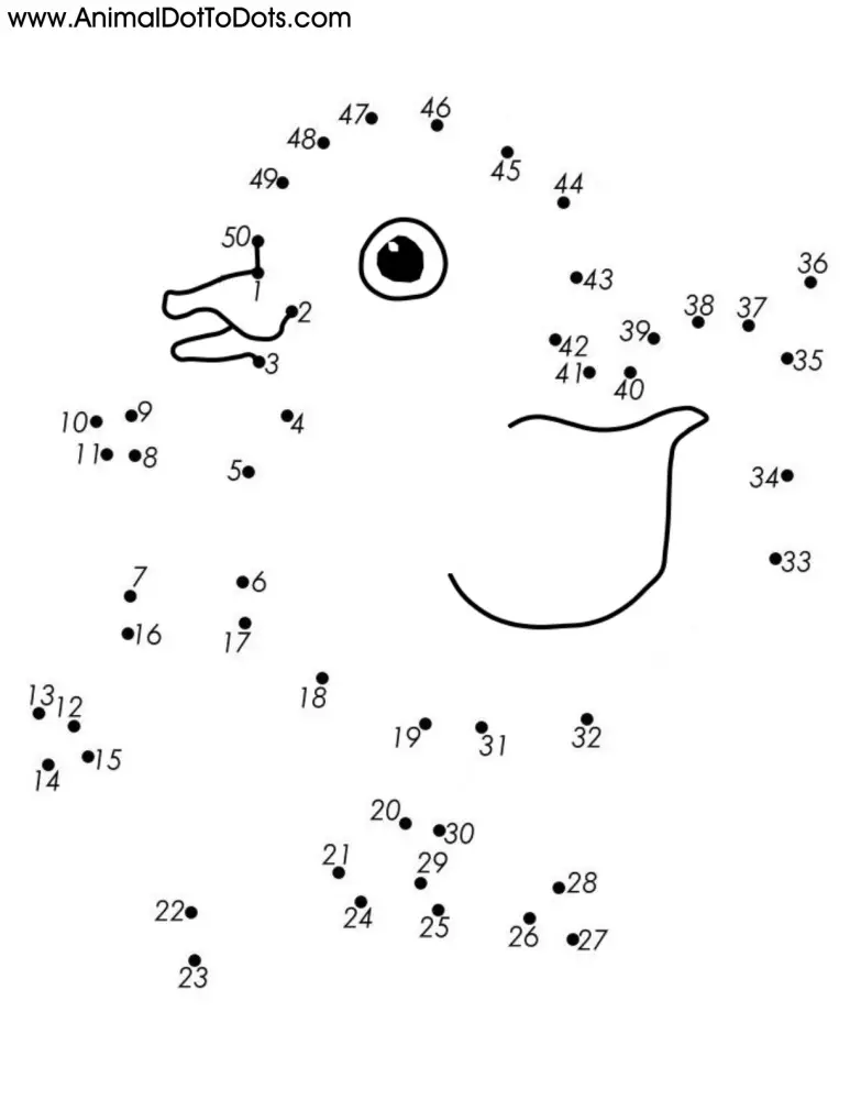 Free Printable Animal Dot-to-Dot Chick