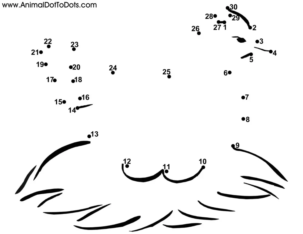 Free Printable Animal Dot-to-Dot Chicken