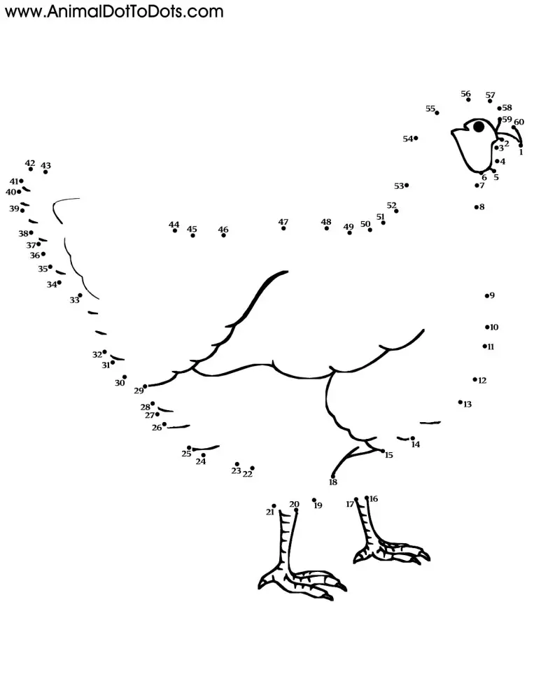 Free Printable Animal Dot-to-Dot Chicken