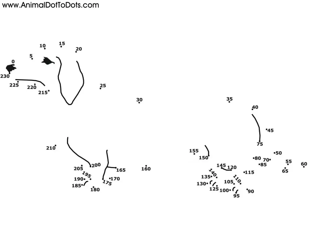Free Printable Animal Dot-to-dot Dachshund Dog