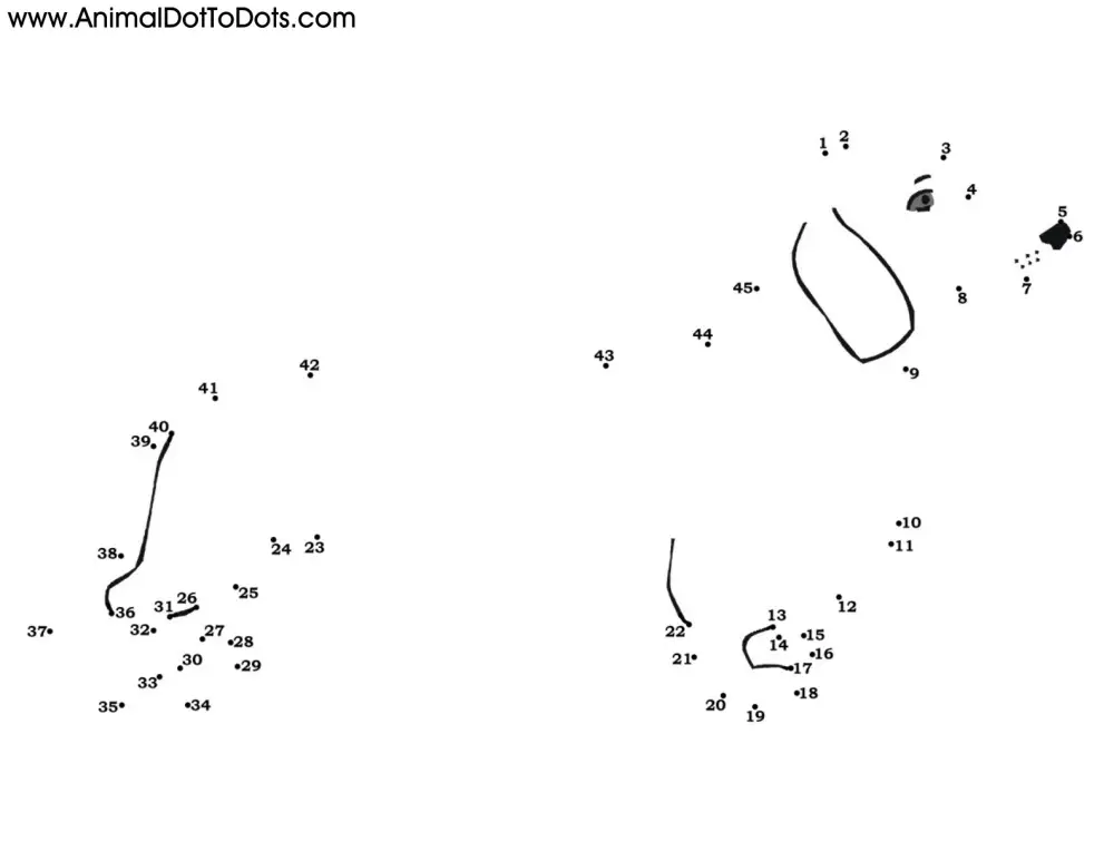 Free Printable Animal Dot-to-dot Dachshund Dog