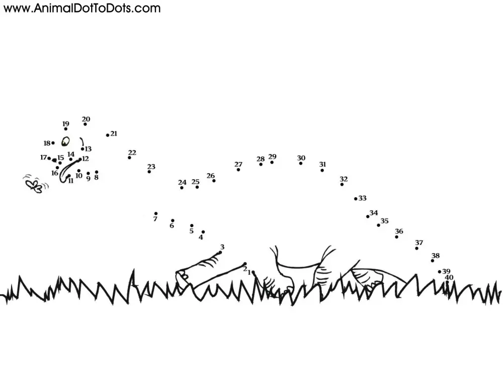 Free Printable Animal Dot-to-dot Dinosaur