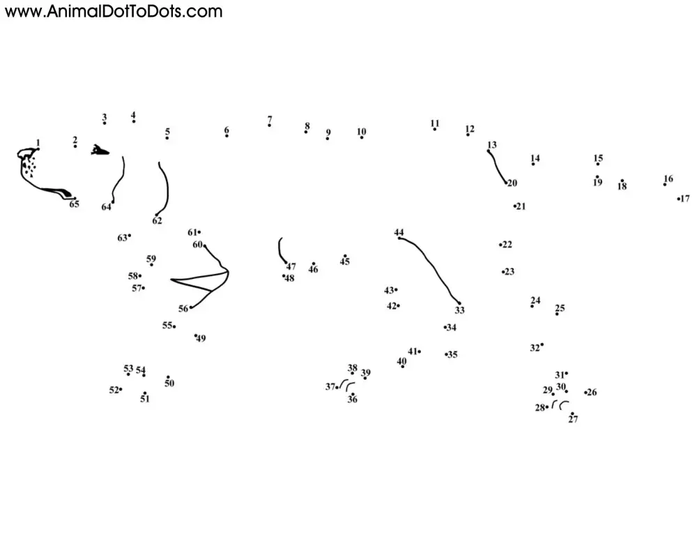 Free Printable Animal Dot-to-dot Dog