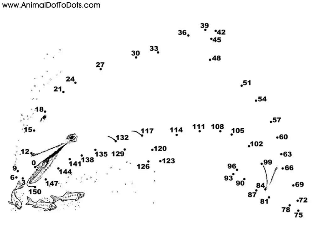 Free Printable Animal Dot-to-Dot Dolphin