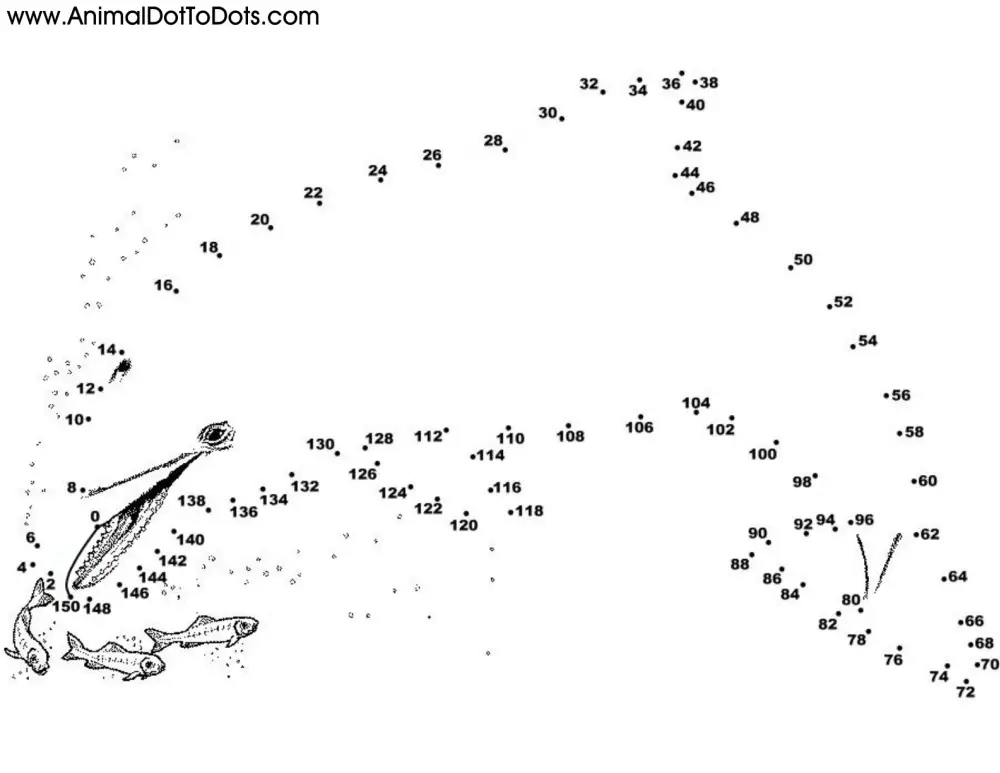 Free Printable Animal Dot-to-dot Dolphin