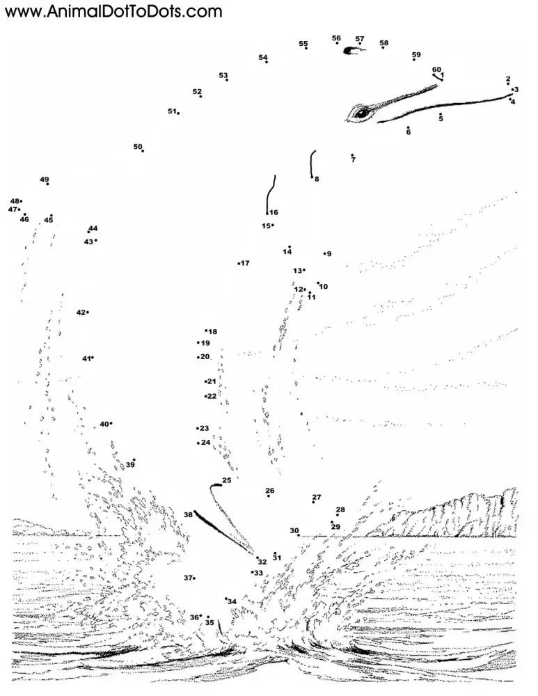 Free Printable Animal Dot-to-dot Dolphin