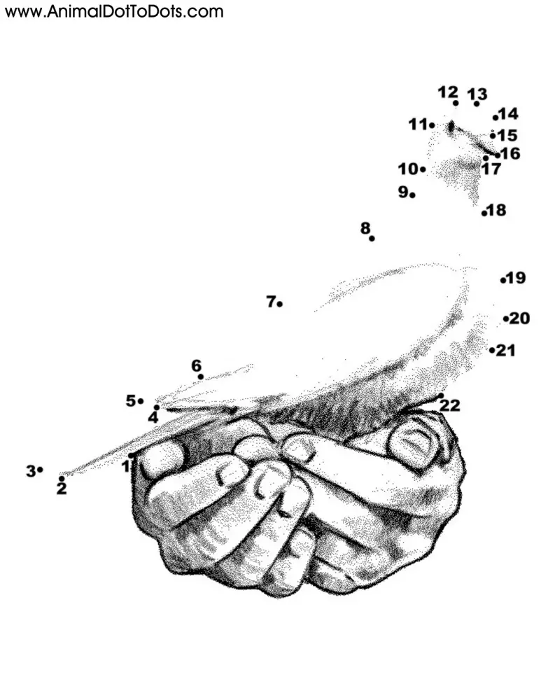 Free Printable Animal Dot-to-dot Dove