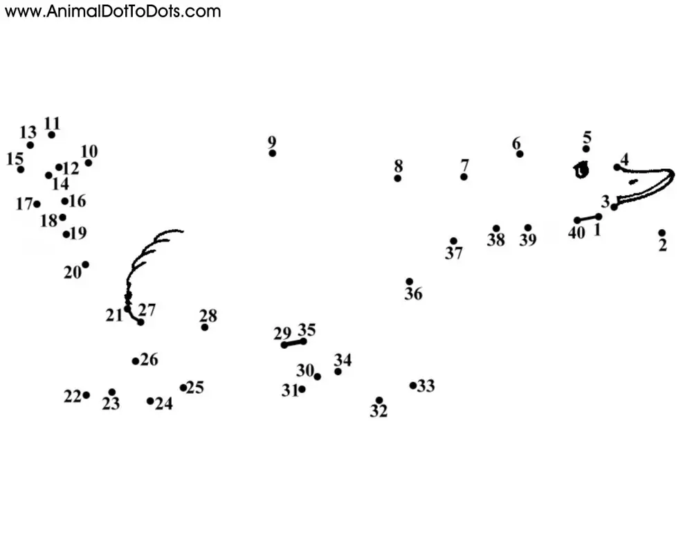 Free Printable Animal Dot-to-dot Duck