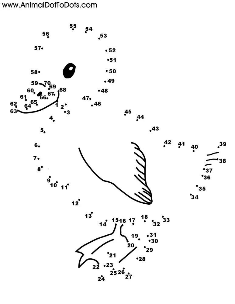 Free Printable Animal Dot-to-dot Duck