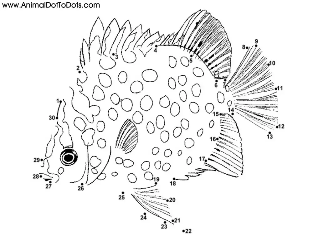 Free Printable Animal Dot-to-dot Fish