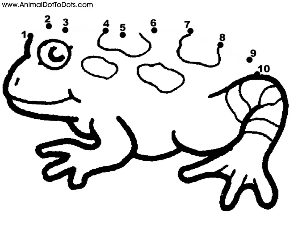 Free Printable Animal Dot-to-dot Frog