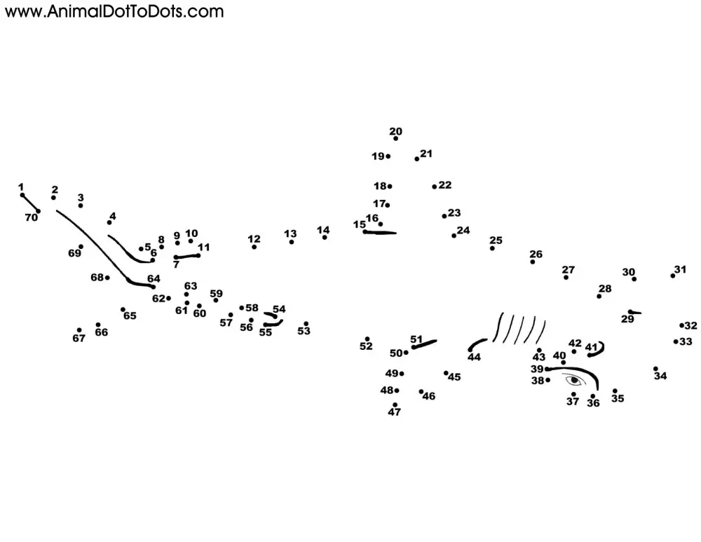 Free Printable Animal Dot-to-dot Hammerhead Shark