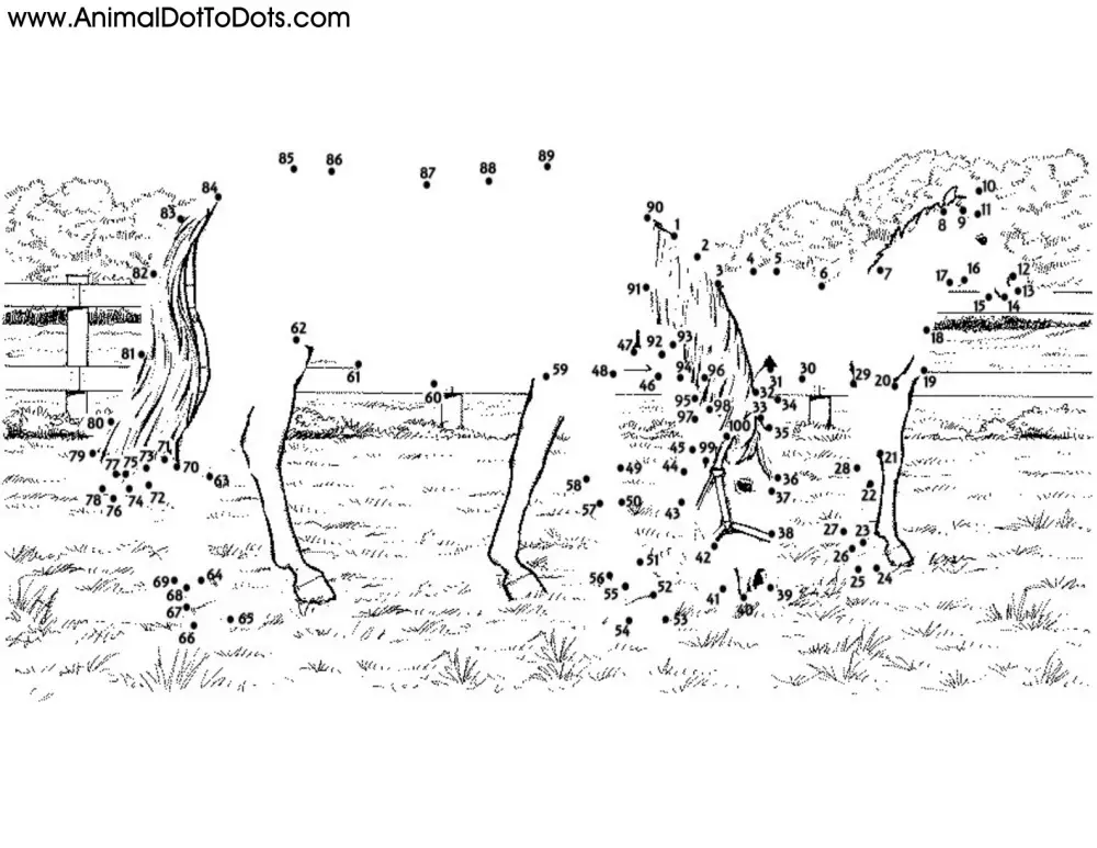 Free Printable Animal Dot-to-dot Horse and Foal