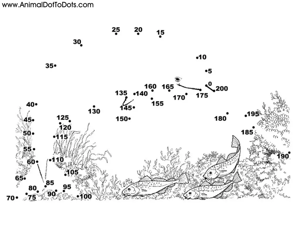 Free Printable Animal Dot-to-dot Narwhal