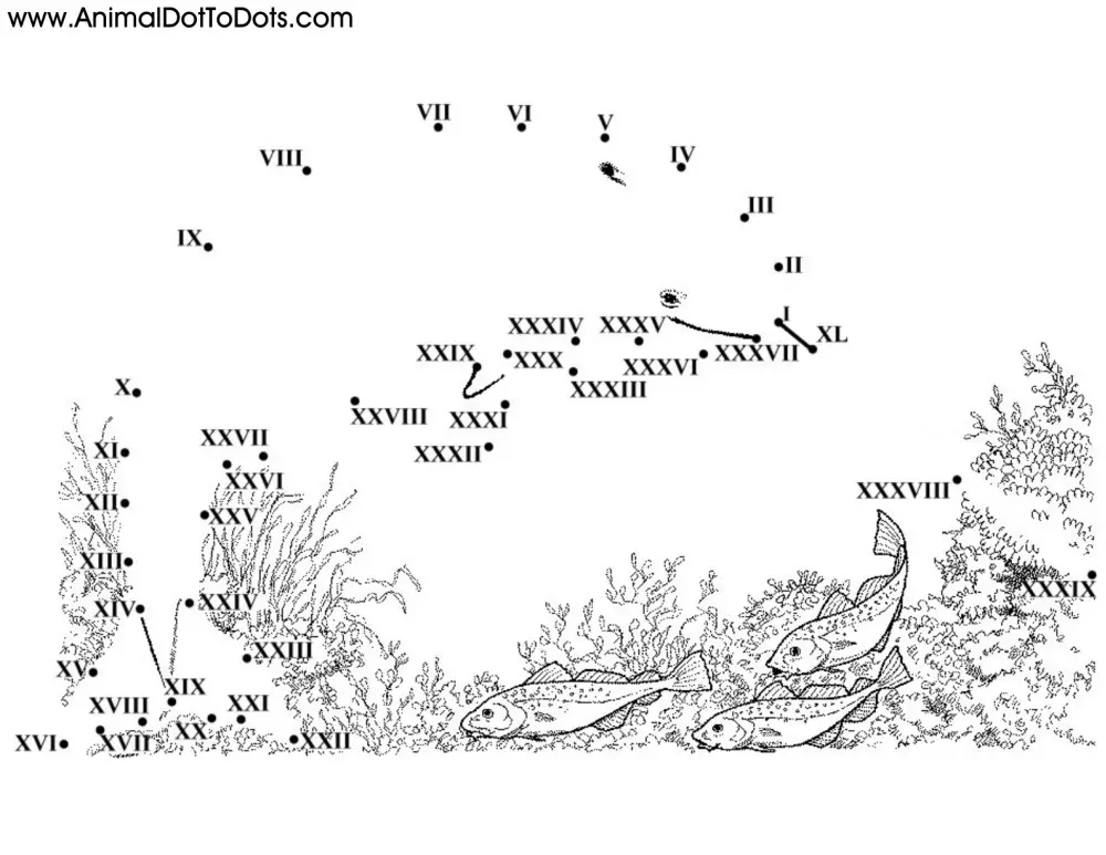 Free Printable Animal Dot-to-Dot Narwhal