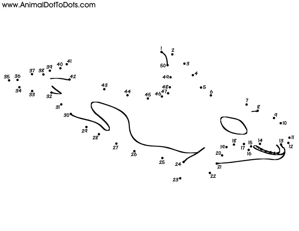 Free Printable Animal Dot-to-dot Orca