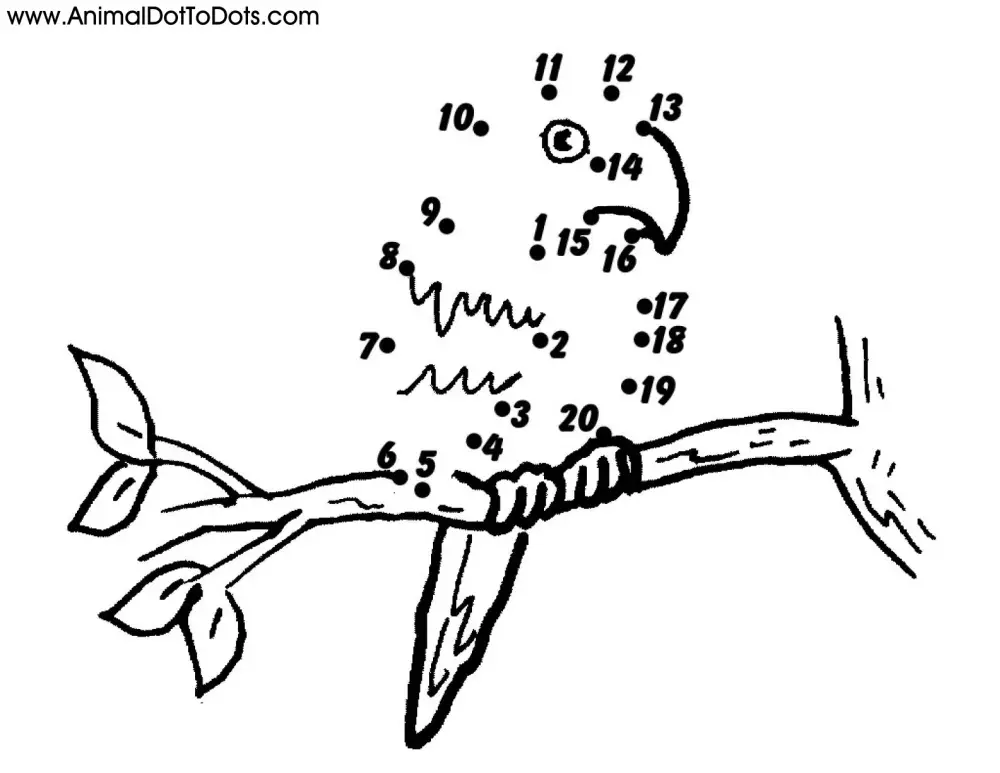 Free Printable Animal Dot-to-dot Parrot