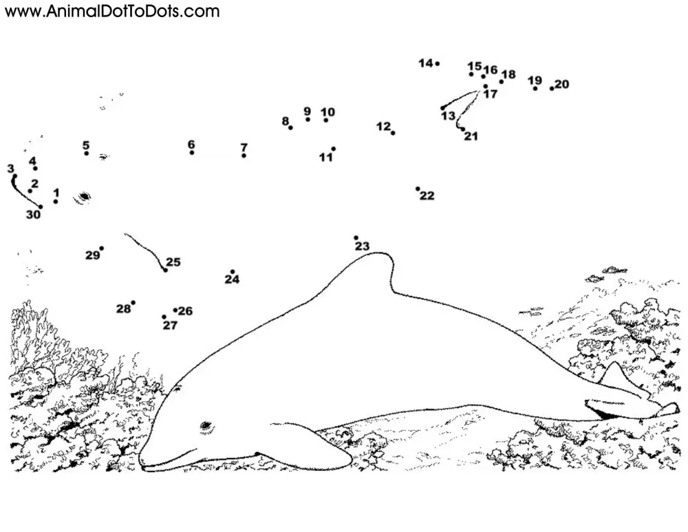 Free Printable Animal Dot-to-dot Porpoises