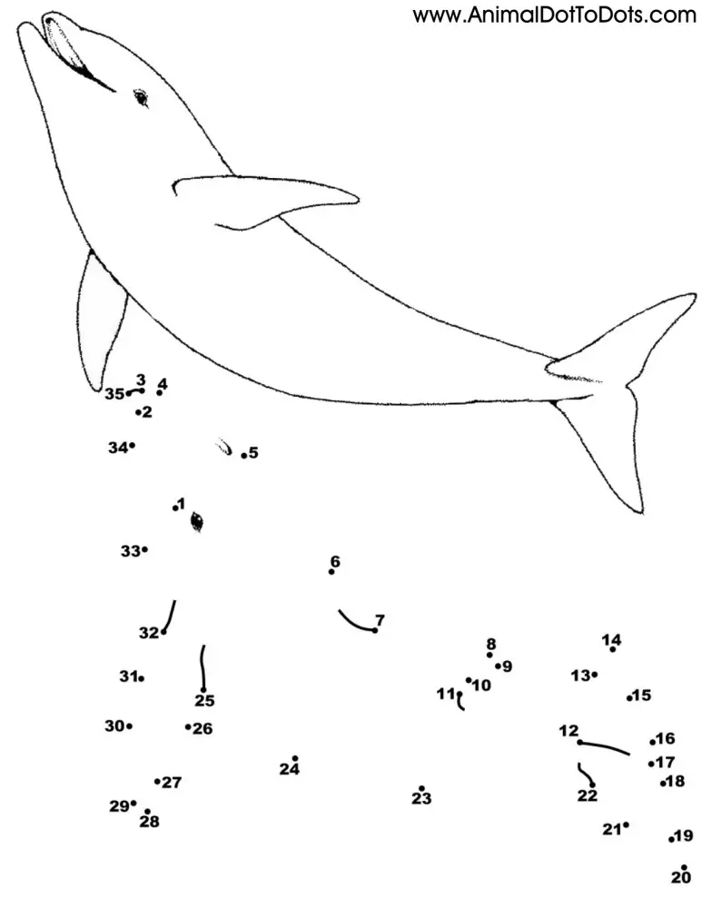 Free Printable Animal Dot-to-dot Porpoises