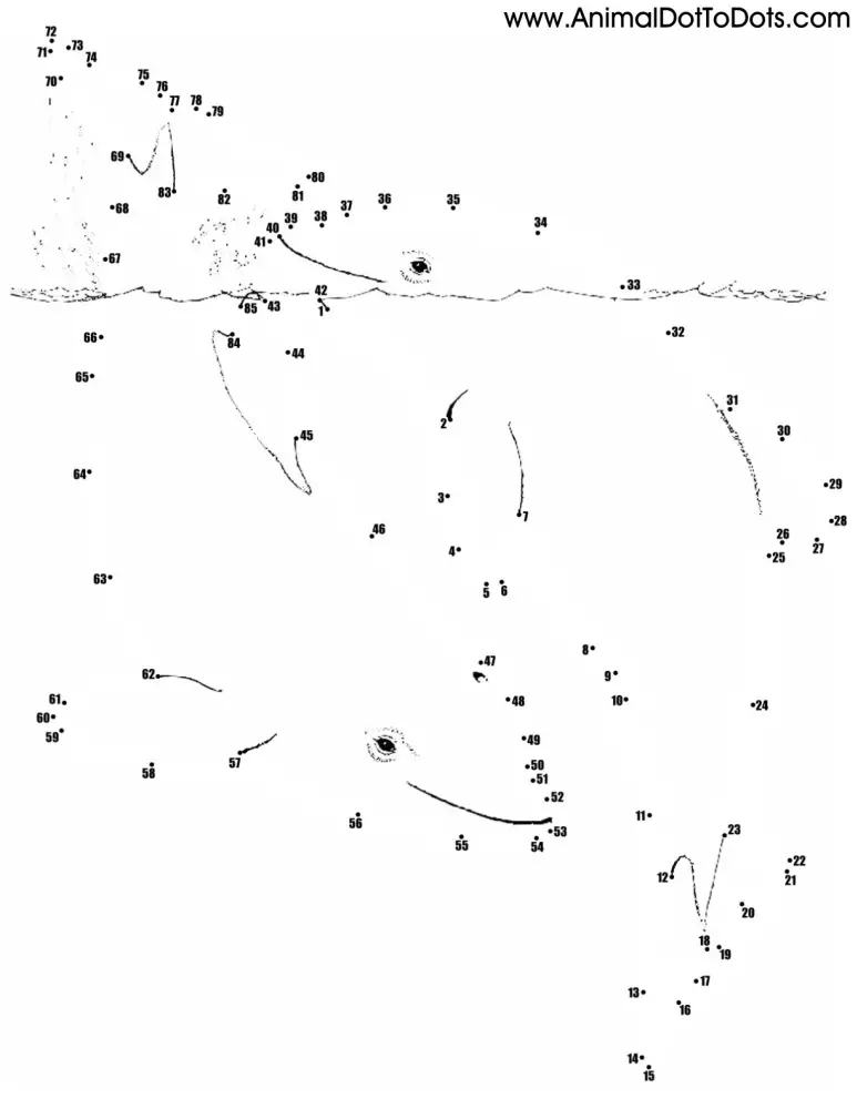 Free Printable Animal Dot-to-dot Porpoises