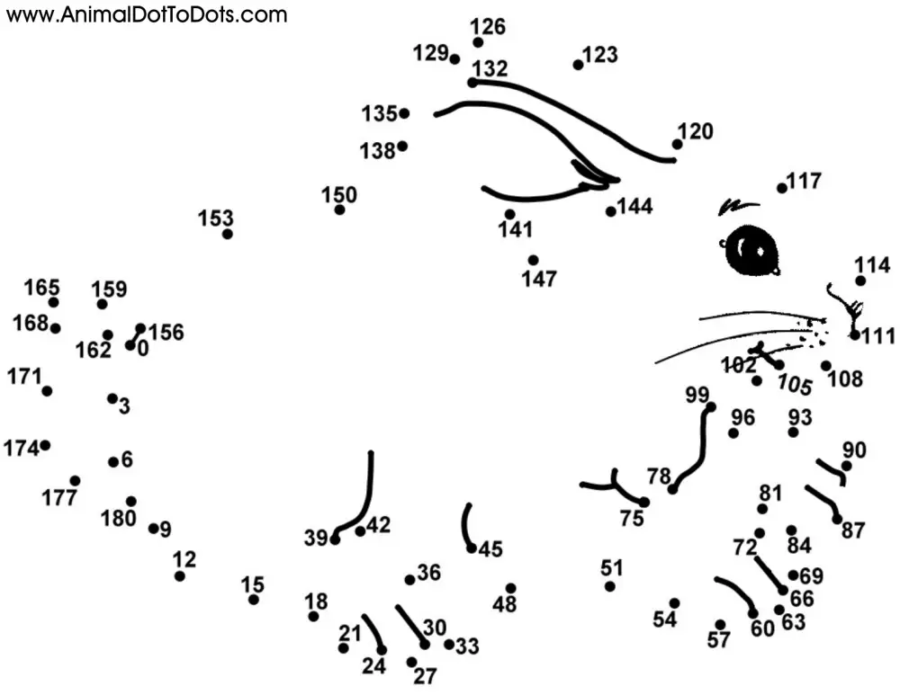 Free Printable Animal Dot-to-dot Rabbi