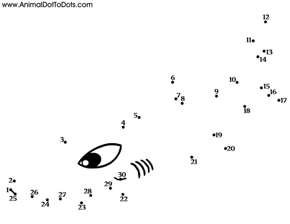 Free Printable Animal Dot-to-dot Shark