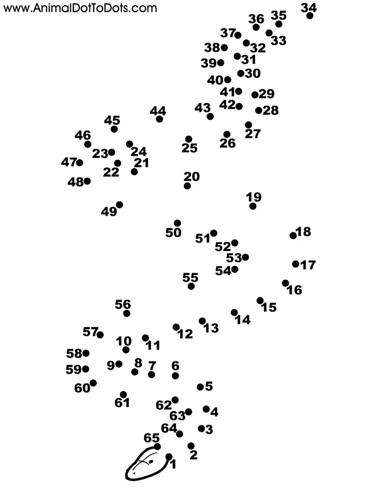Free Printable Animal Dot-to-dot Snake