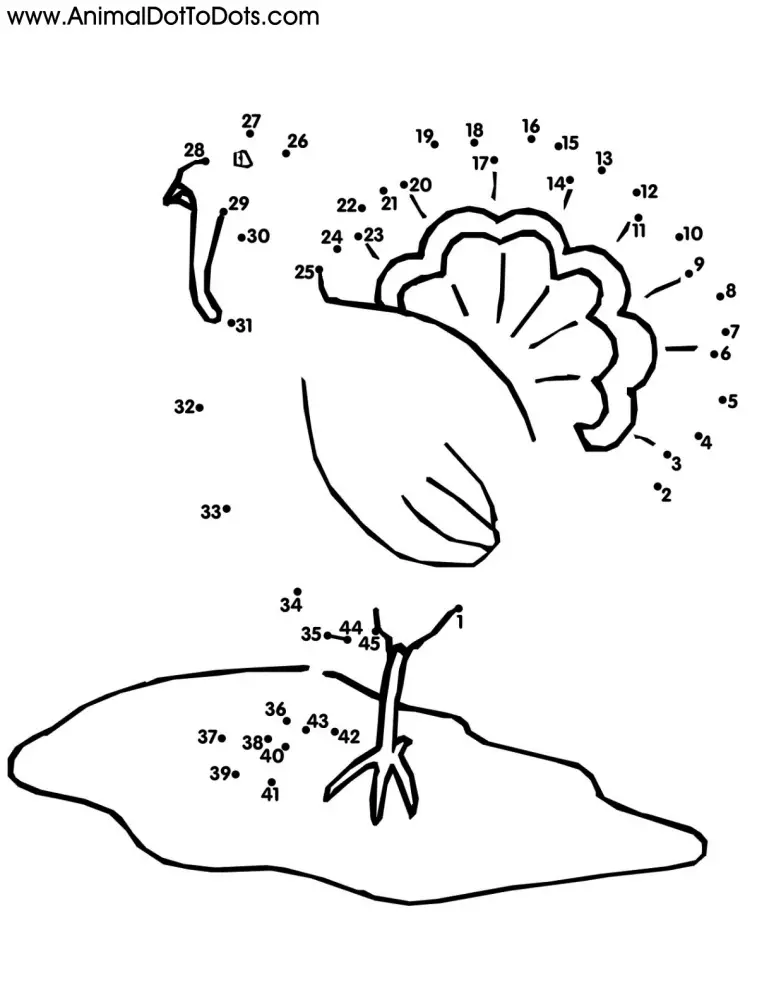 Free Printable Animal Dot-to-dot Turkey