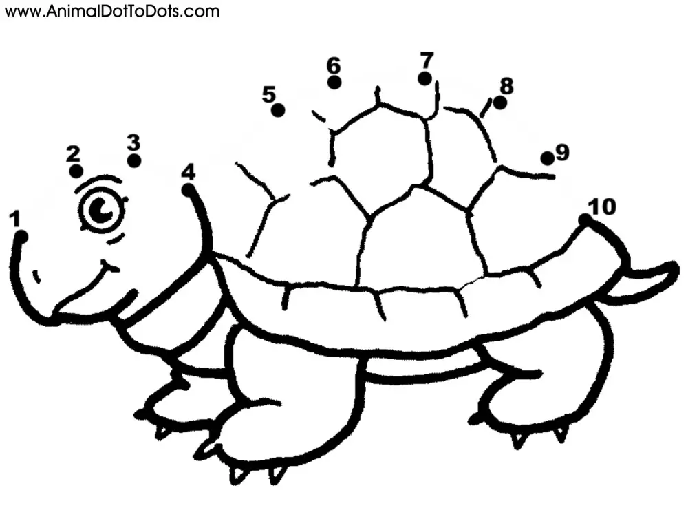 Free Printable Animal Dot-to-dot Turtle