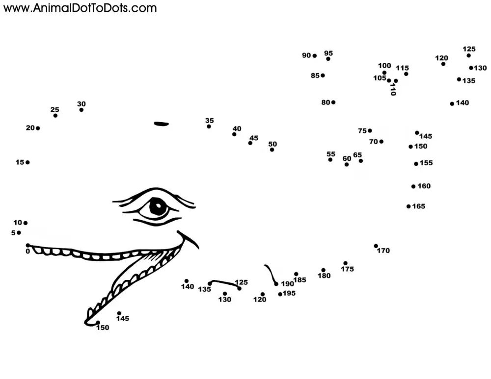 Free Printable Animal Dot-to-dot Whale