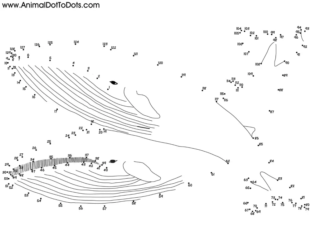 Free Printable Animal Dot-to-dot Whales