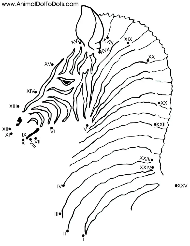 Free Printable Animal Dot-to-Dot Zebra