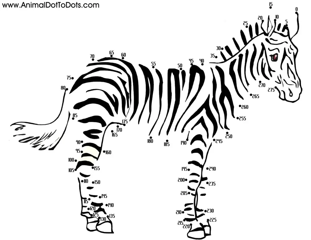 Free Printable Animal Dot-to-dot Zebra Foal